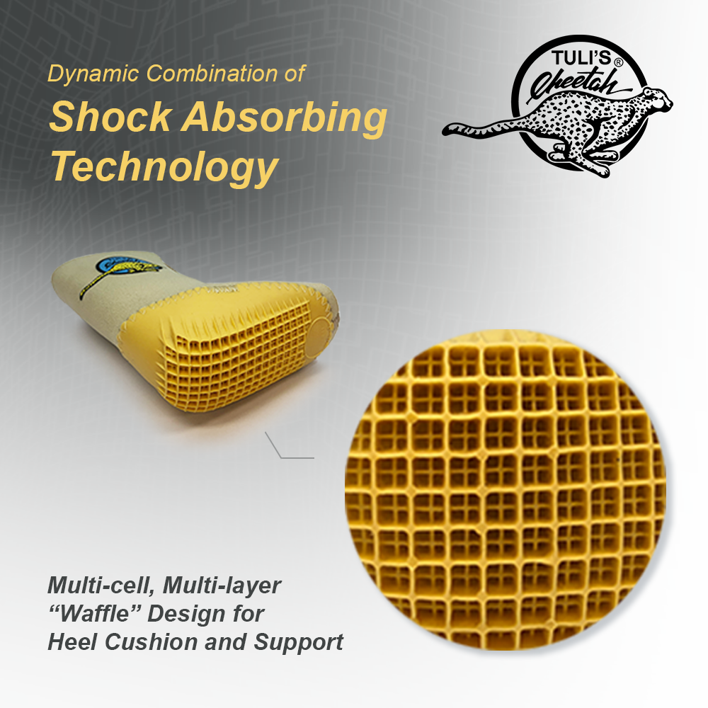 359 Tuli’s Cheetah