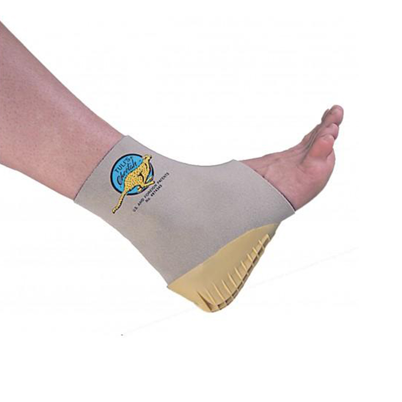 359 Tuli’s Cheetah