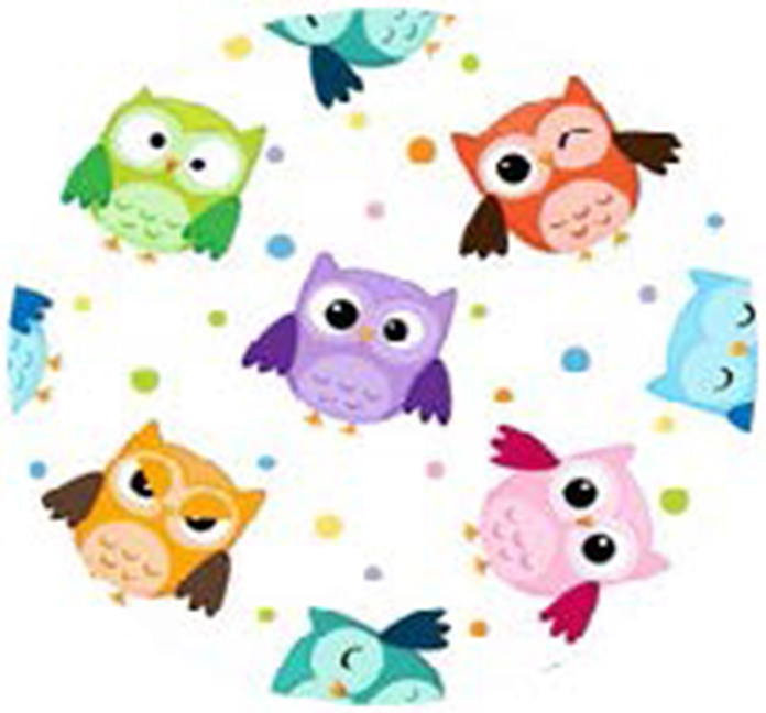 Ortho Transfer Paper43