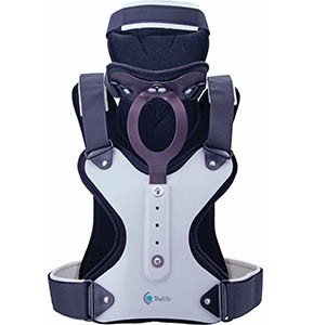 lermanminerva-289×300